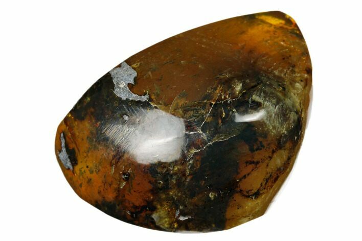 Polished Chiapas Amber ( g) - Mexico #180422